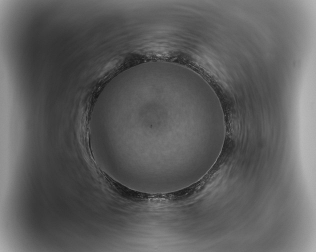 X0000096661297200802121122