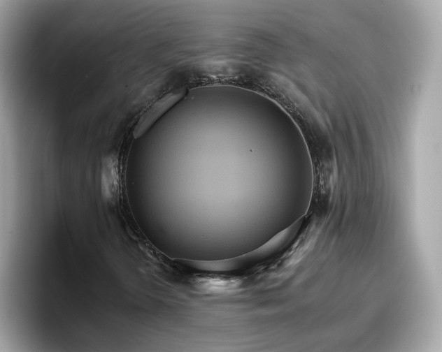 X0000096661298200802121122