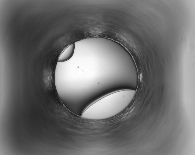 X0000096661299200802121122