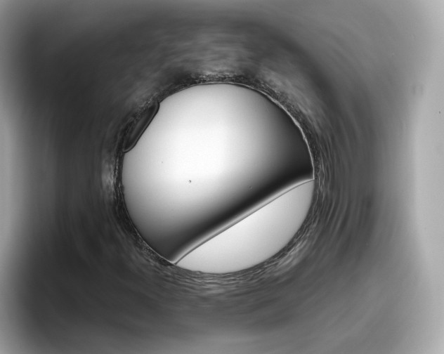 X0000096661300200802121122