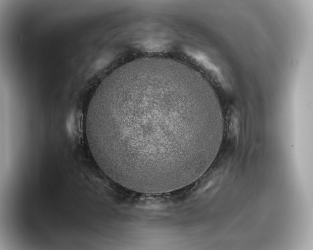 X0000096661301200802121122