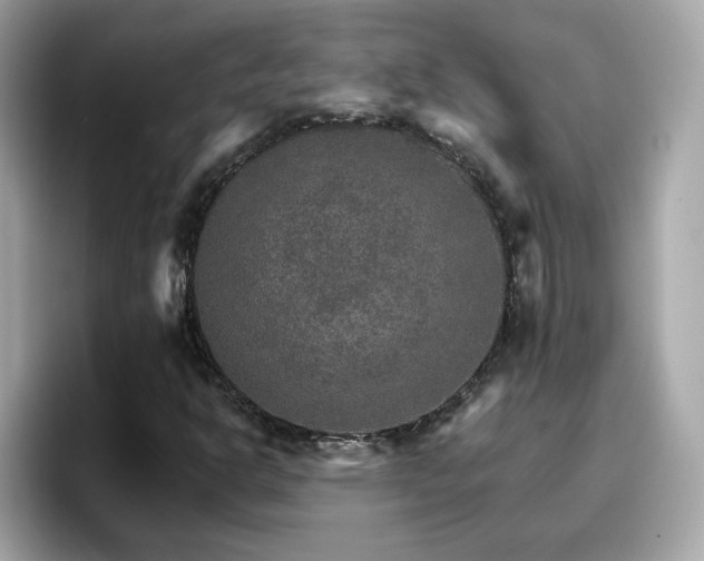 X0000096661302200802121122