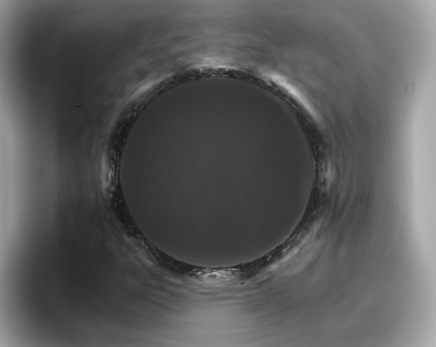 X0000096661303200802121122