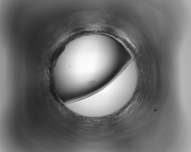 X0000096661304200802121122