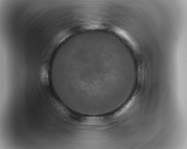 X0000096661305200802121122