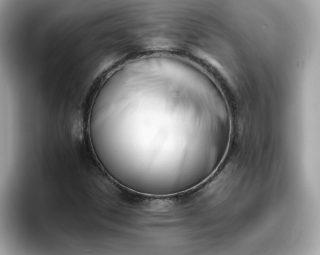 X0000096661306200802121122