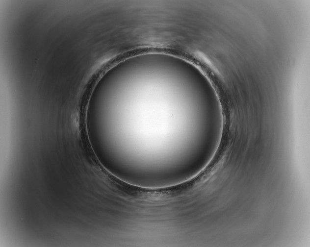 X0000096661307200802121122