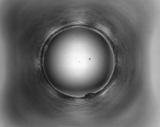 X0000096661308200802121122