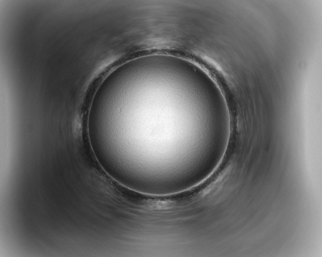 X0000096661309200802121122