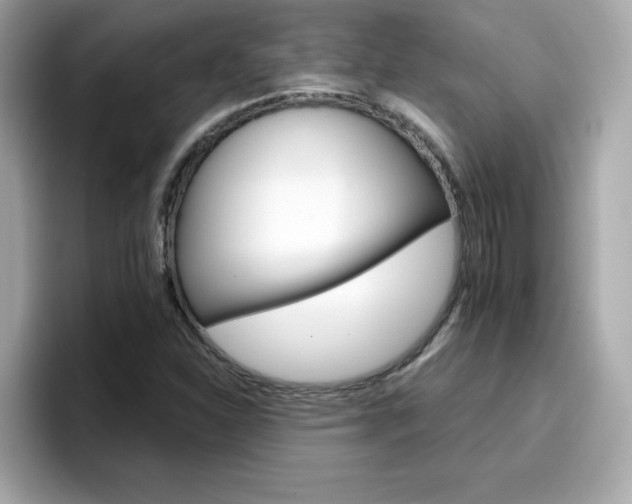 X0000096661310200802121122