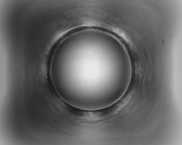 X0000096661311200802121122