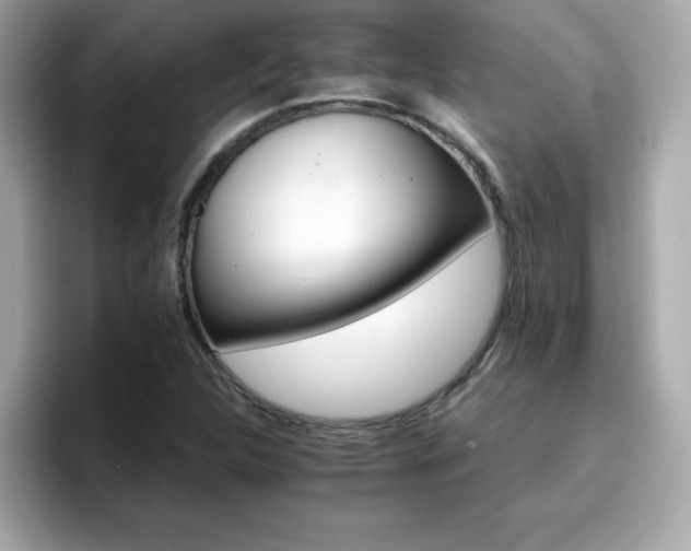 X0000096661312200802121122