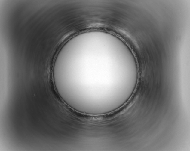 X0000096661313200802121122