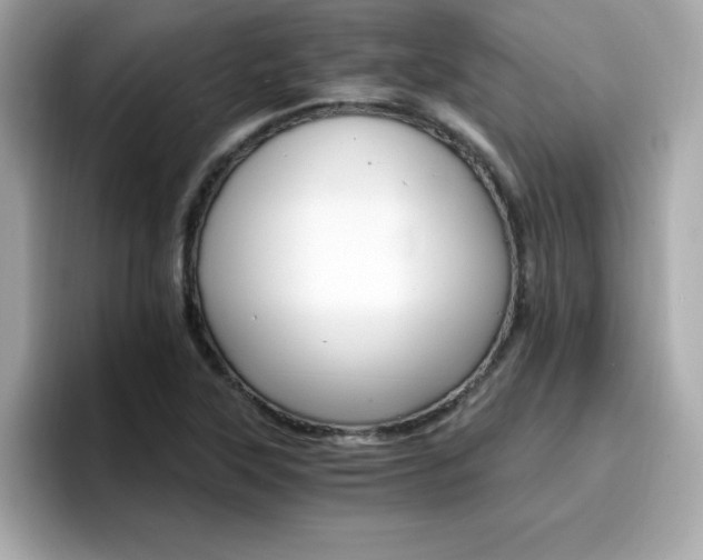 X0000096661315200802121122