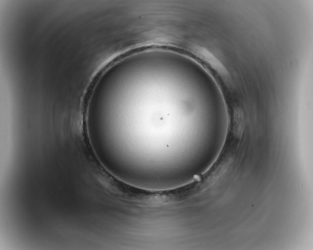 X0000096661316200802121122