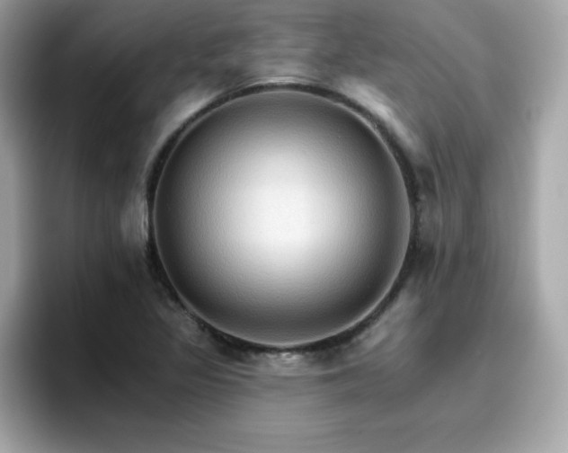 X0000096661317200802121122