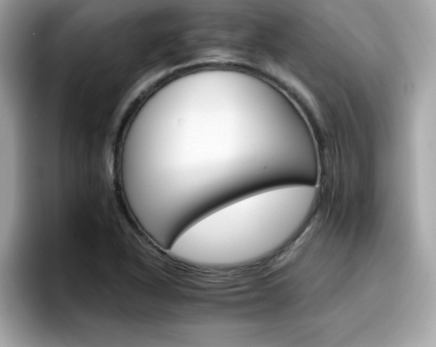 X0000096661318200802121122