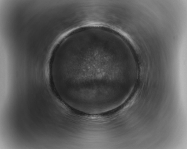 X0000096661319200802121122