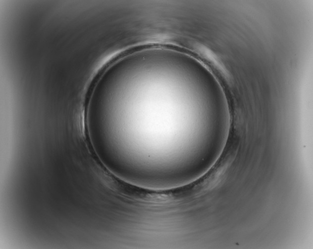 X0000096661320200802121122