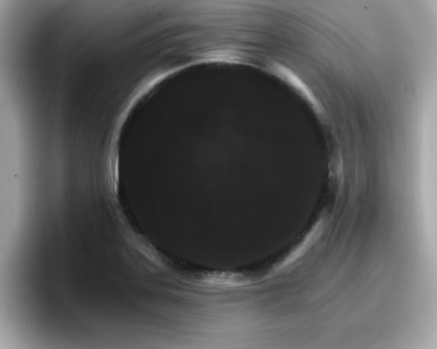 X0000096661323200802121122