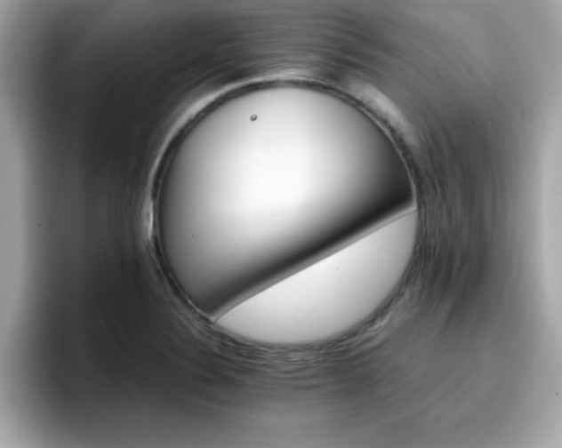 X0000096661324200802121122