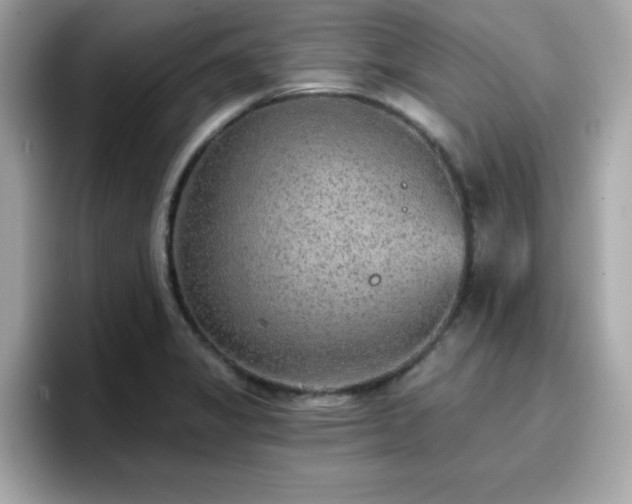 X0000096661325200802121122