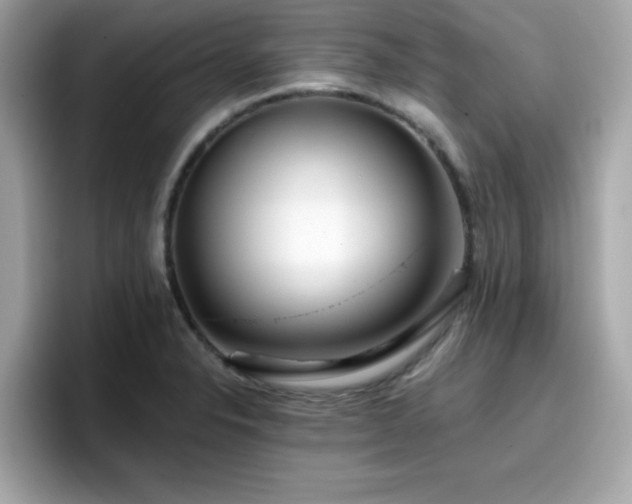 X0000096661326200802121122