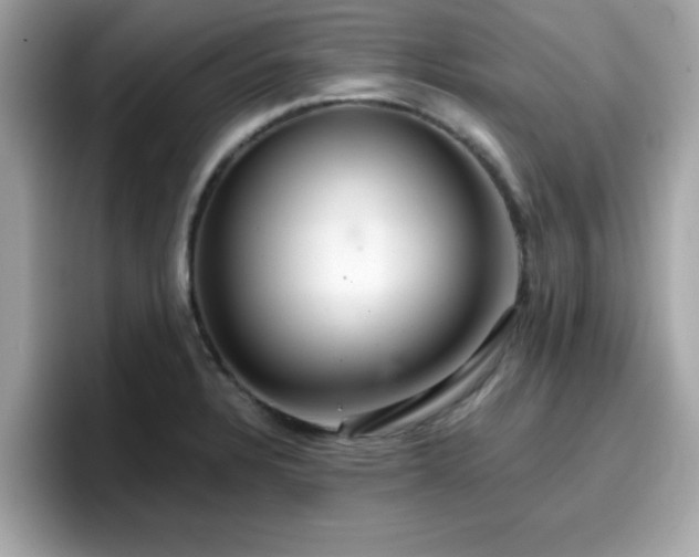 X0000096661328200802121123