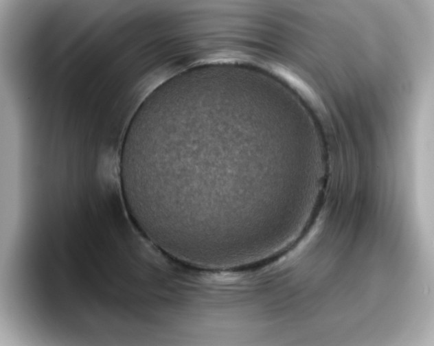 X0000096661329200802121123