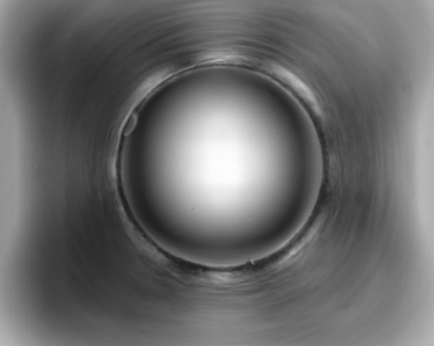 X0000096661330200802121123