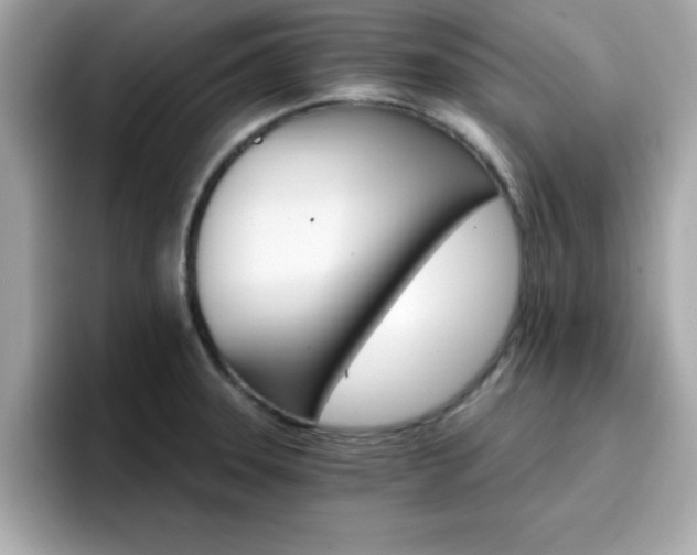 X0000096661331200802121123