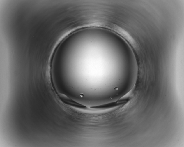 X0000096661332200802121123