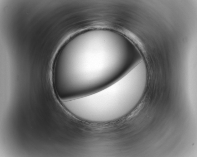 X0000096661334200802121123