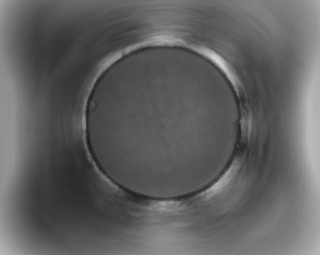 X0000096661335200802121123