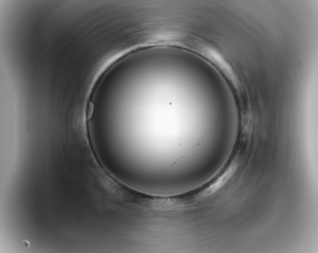 X0000096661336200802121123