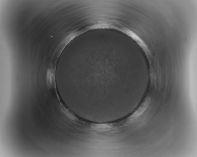 X0000096661337200802121123