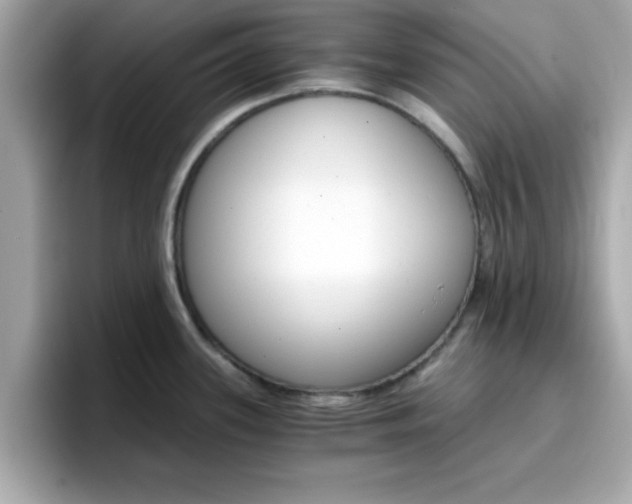 X0000096661339200802121123