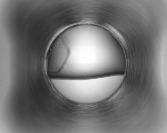 X0000096661340200802121123