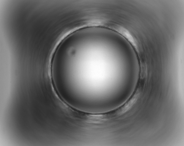 X0000096661342200802121123