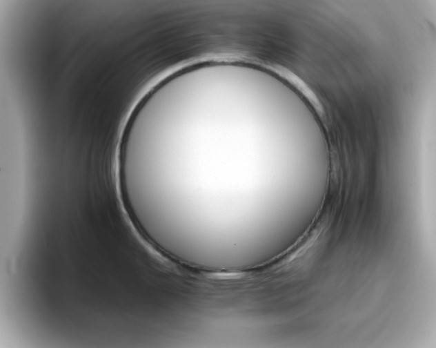 X0000096661343200802121123