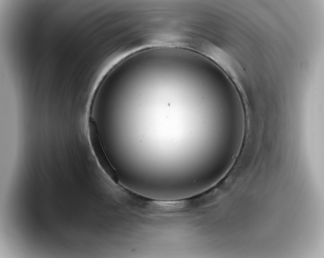 X0000096661344200802121123