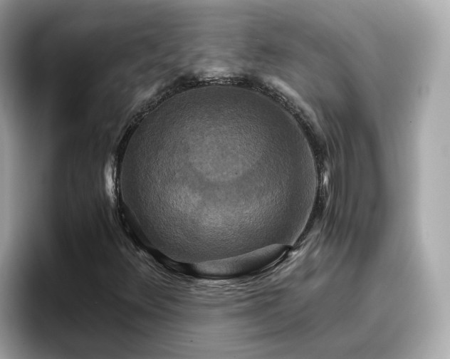 X0000096661348200802121122