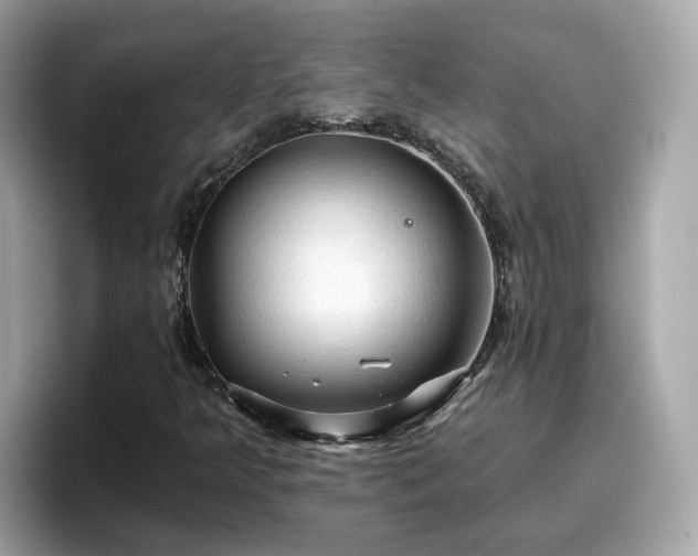 X0000096661349200802121122