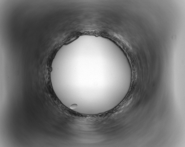 X0000096661350200802121122