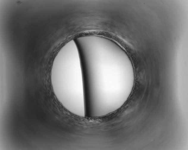 X0000096661351200802121122