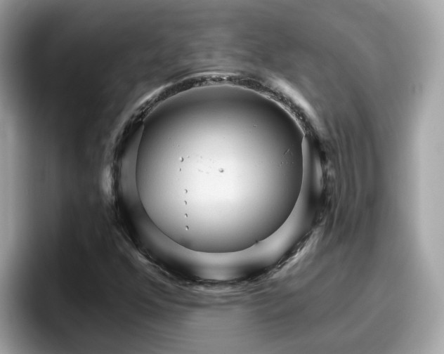 X0000096661352200802121122