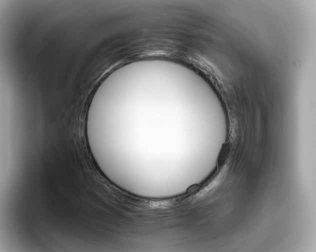 X0000096661353200802121122