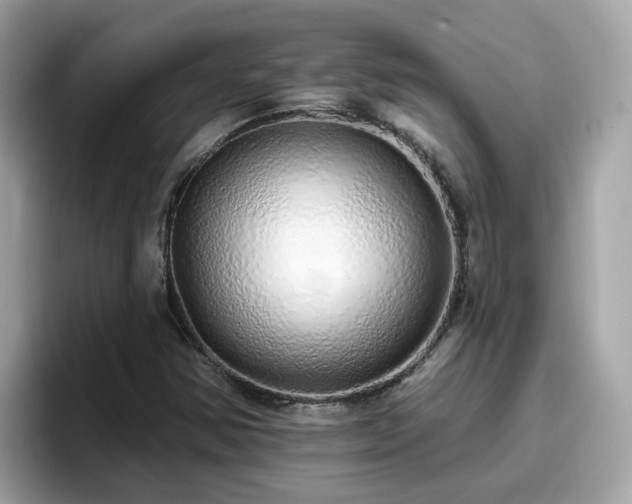 X0000096661354200802121122