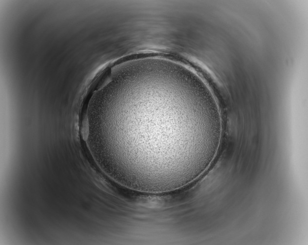 X0000096661355200802121122