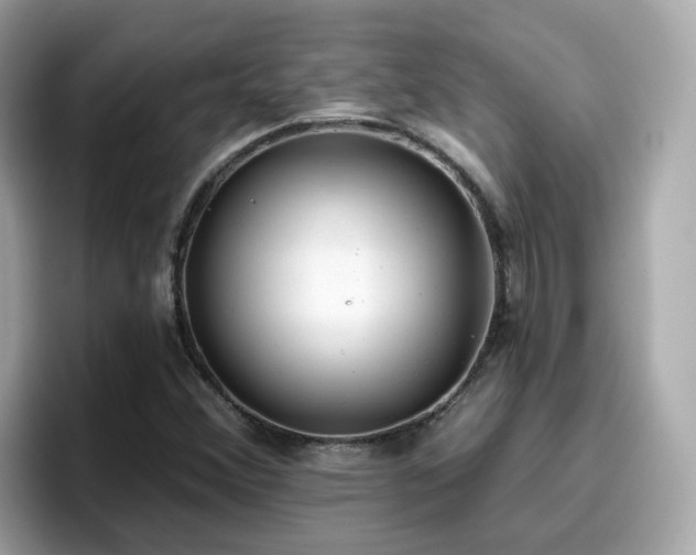 X0000096661356200802121122